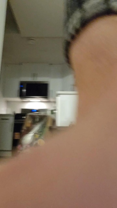 0rtear live from Canada