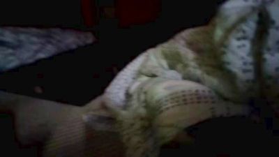 Abbaby674 live from United States