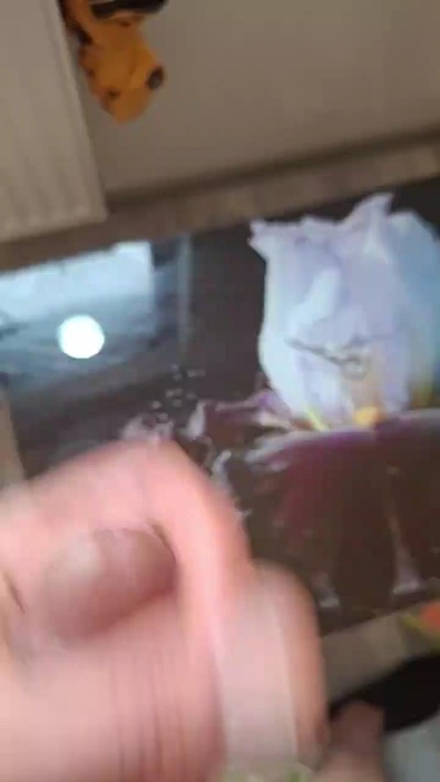 Alpha257 live from France