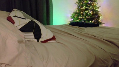 Aregoe_Art live from Venezuela