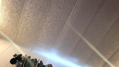 Aubreytruly18 live from United States