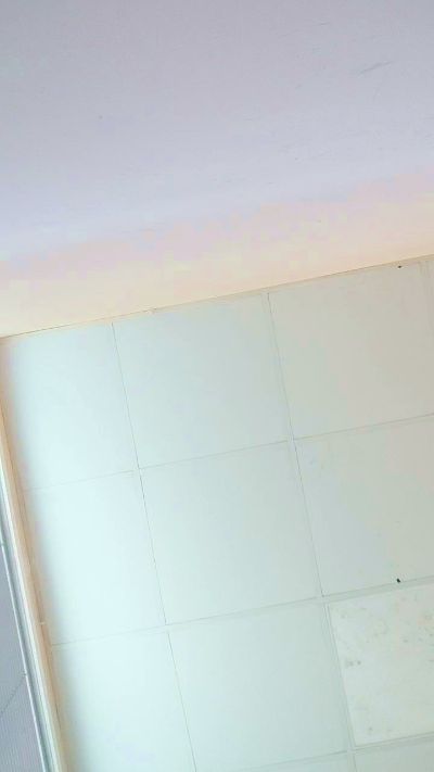 Baby_otaku live from Chile