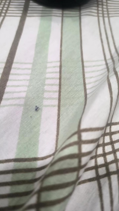 Bbnovinharj live from Brazil