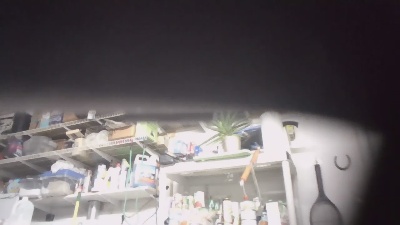 Beardedwood live from United States