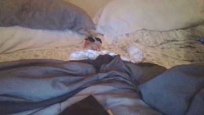 BoldlySavage live from United States