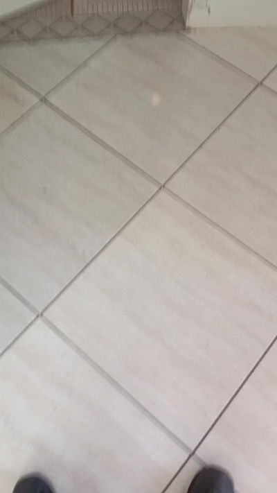 BoyBet live from Brazil