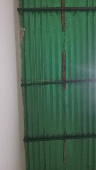 Braint2026 live from Venezuela