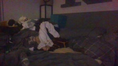 ClearlyClovers live from United States