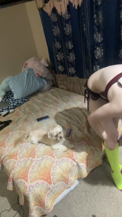 Daddykitten live from United States