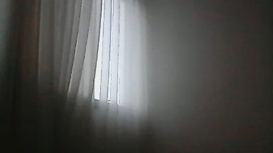 Daniferraz live from Brazil