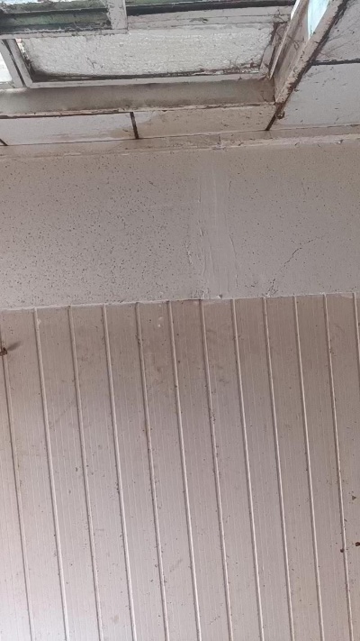 Docinholins live from Brazil