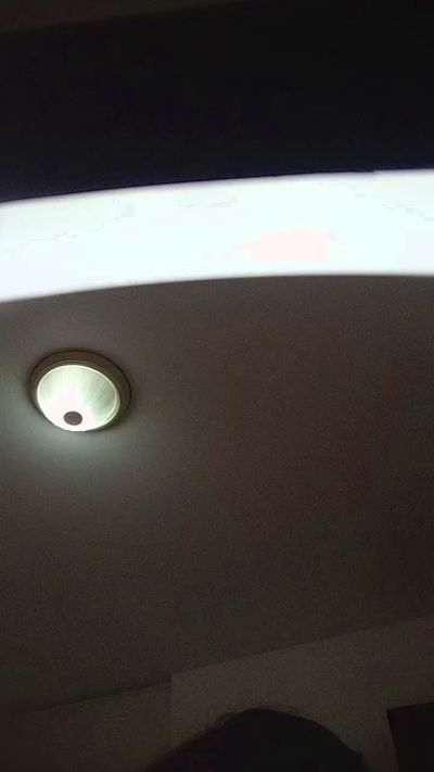 DonnaBigBooty live from Argentina