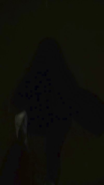 FabiolaMxX live from Mexico