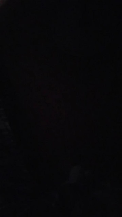 Frank_lowverks2 live from Argentina