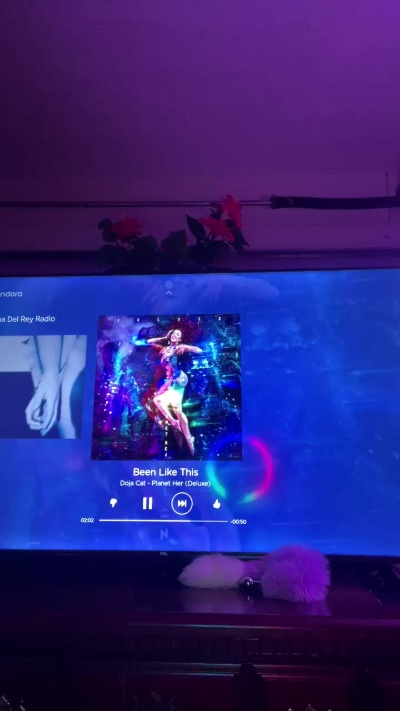 Garage_bebe live from United States