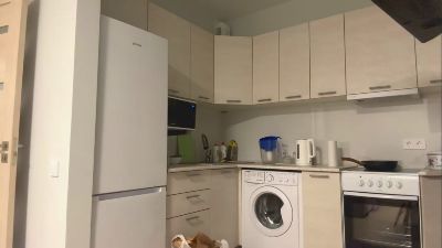 GiseleFriddle live from Serbia