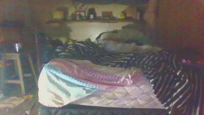 Highssexual live from Brazil