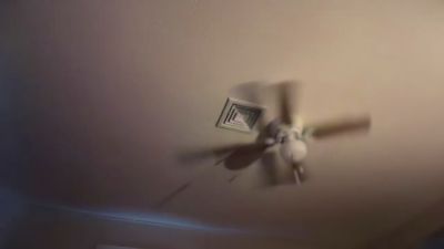 JaviJessica live from United States