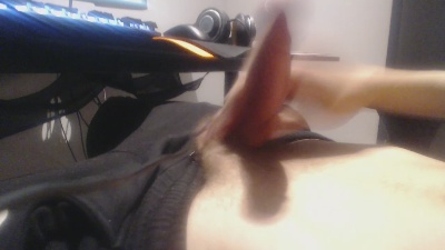 LoyalD live from Slovakia