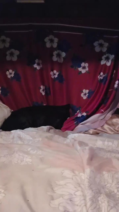 Marielovely live from United States