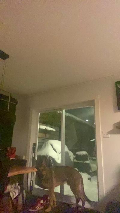 Masc39 live from Canada