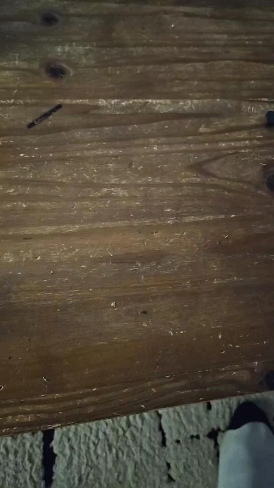 PeggyAndLuc live from France