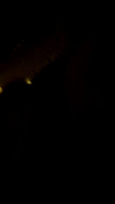 Reichel1996 live from Spain