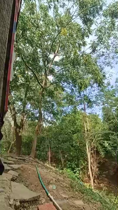 Richard_2 live from Venezuela