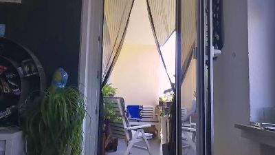 Scarlett_Sub live from Germany