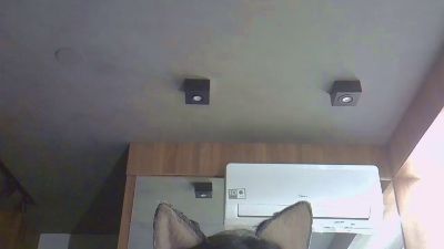 SkinnyKittenCam live from Brazil