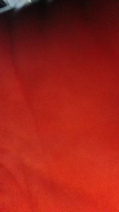 Stasera5 live from Italy