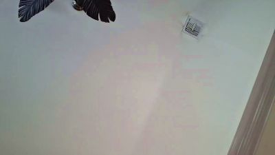 TaylorClearwood Profile Image