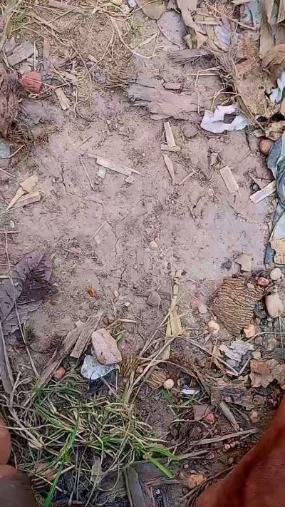 Topo_Hot1 live from Argentina