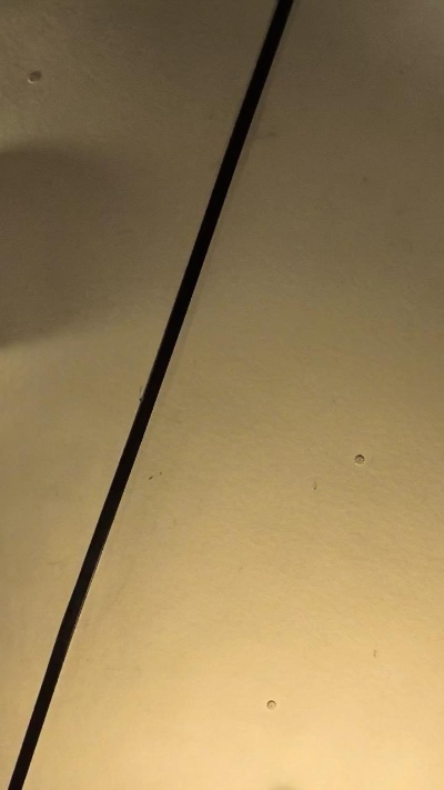 VENES live from United States