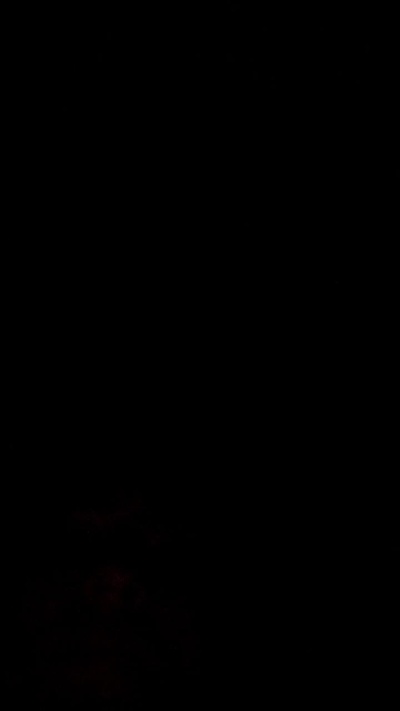 Venus9590 live from Argentina