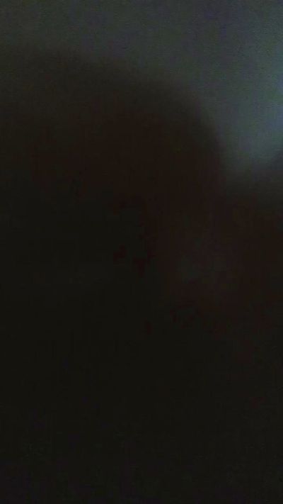 VioletaStill Profile Image