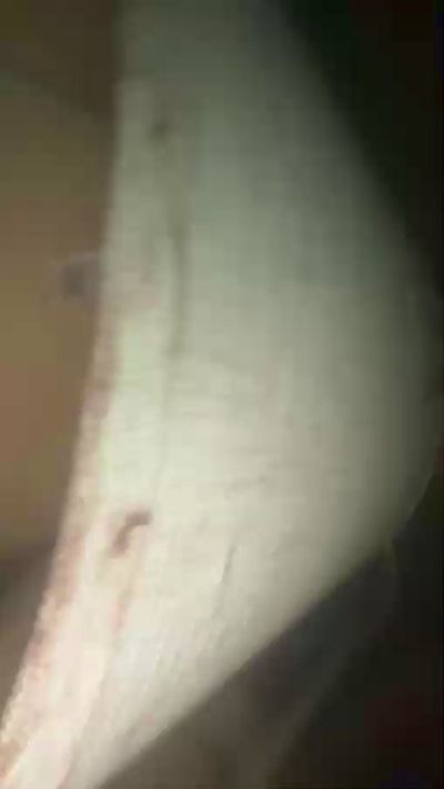YahwehLucifer12 live from United States