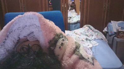 anadirtt live from Spain