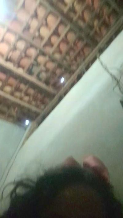 capetinha1821 live from Brazil