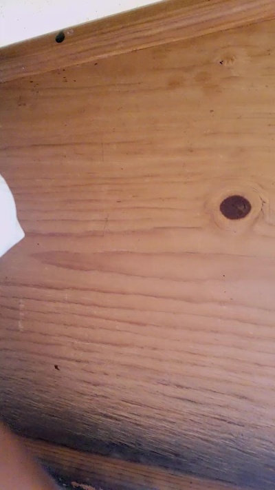 clarck692 live from Mexico