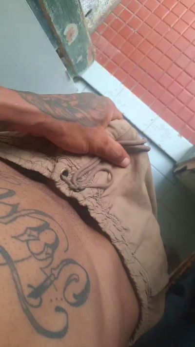 criasss live from Brazil