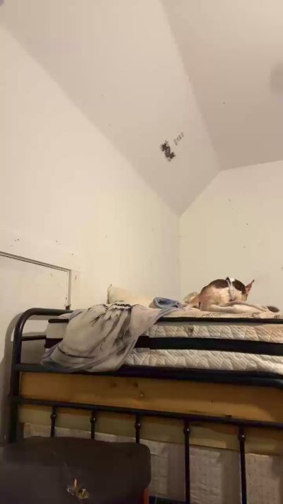 danniqsexy live from United States
