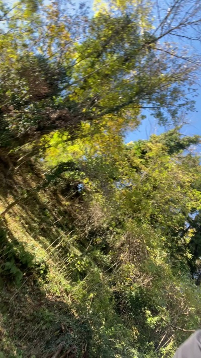 darkbrey777 live from Italy