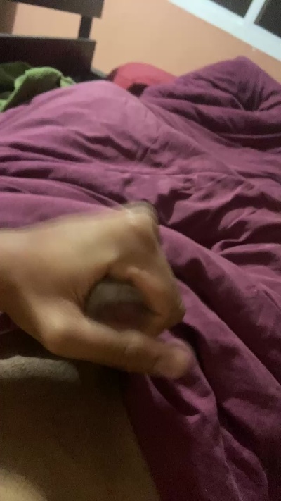 feli353 live from Brazil