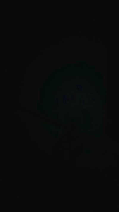 hxhloucoo live from Brazil