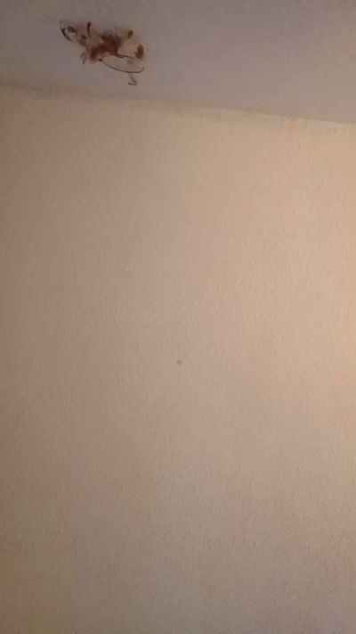 intuitivevirgo live from United States