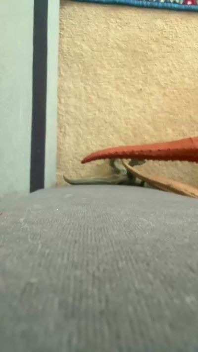 jon19902 live from United Kingdom