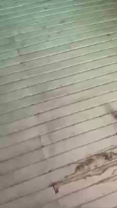 juliesite live from Brazil