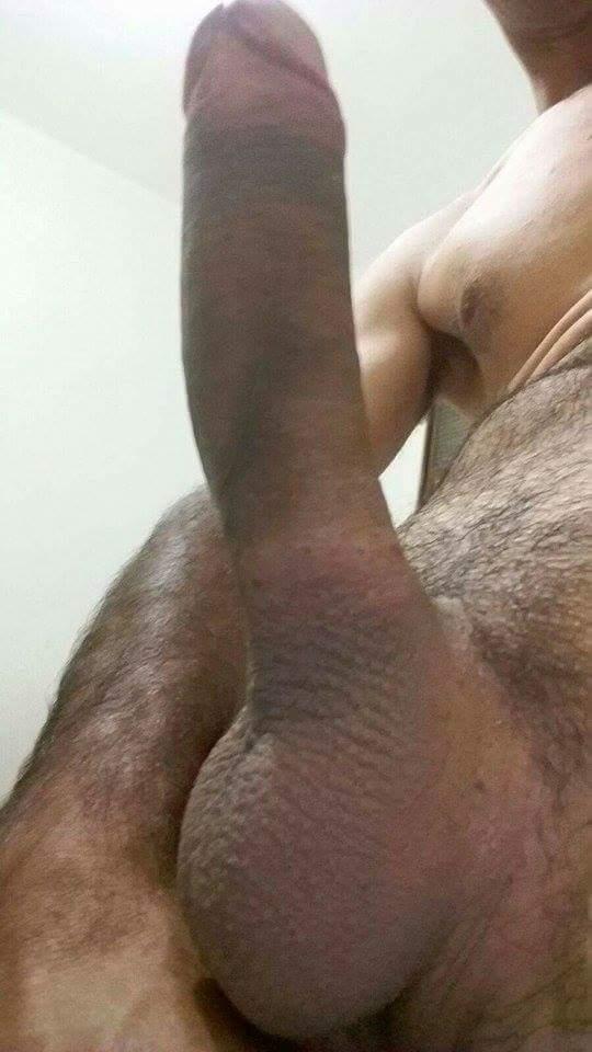 lamboxana live from Brazil