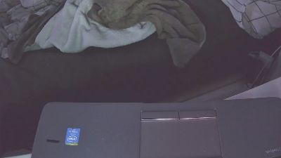 lukasznl_pl live from Netherlands